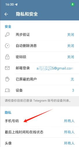 Telegram隐私手机号码设置